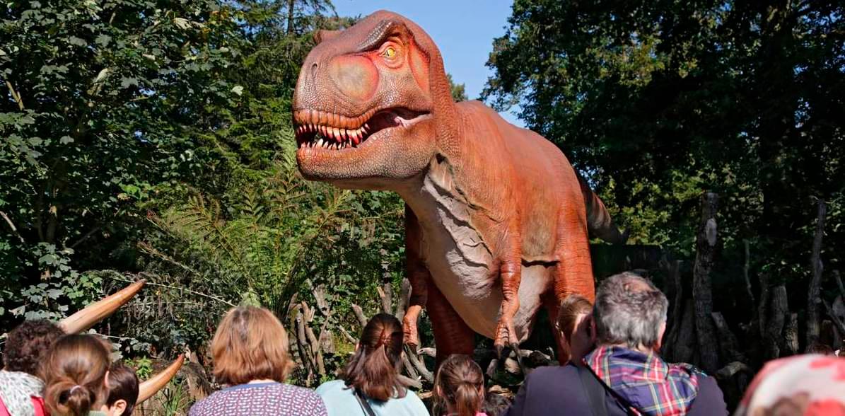 Click pictures with the giant realistic dinosaur statues at the park