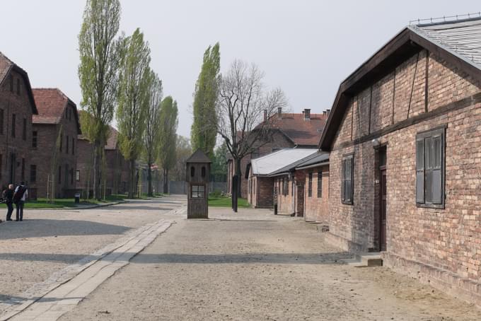 Auschwitz Tours