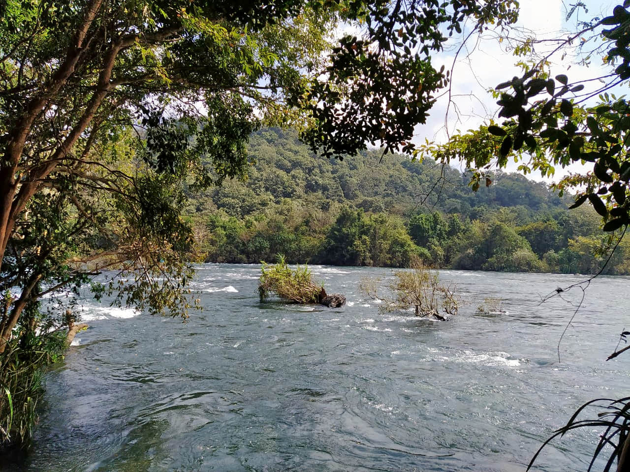 Photo from Ankita Raj's trip