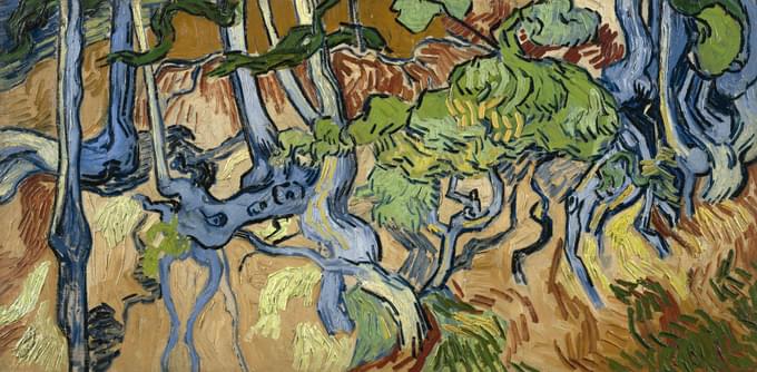 Tree Roots Painting of Vangogh Museum