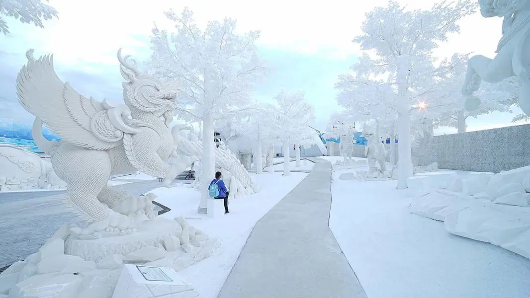 Frost Magical Ice of Siam