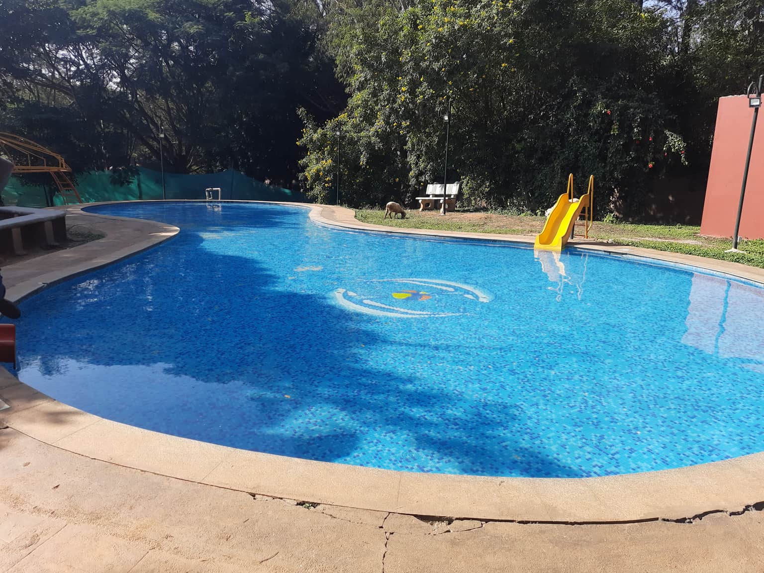 Photo from Sajit M's trip