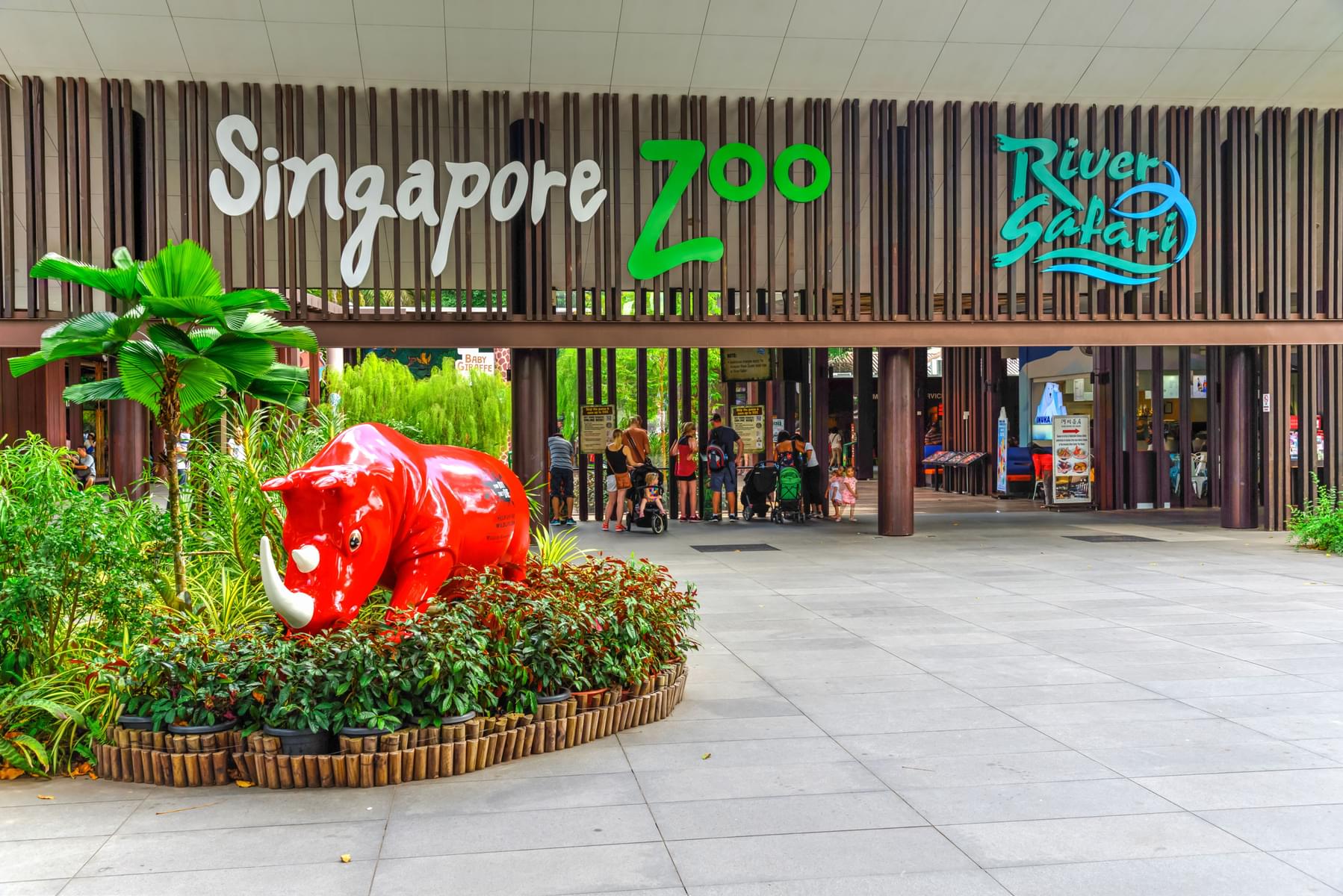 Take a glimpse of lovely animals at Singapore Zoo
