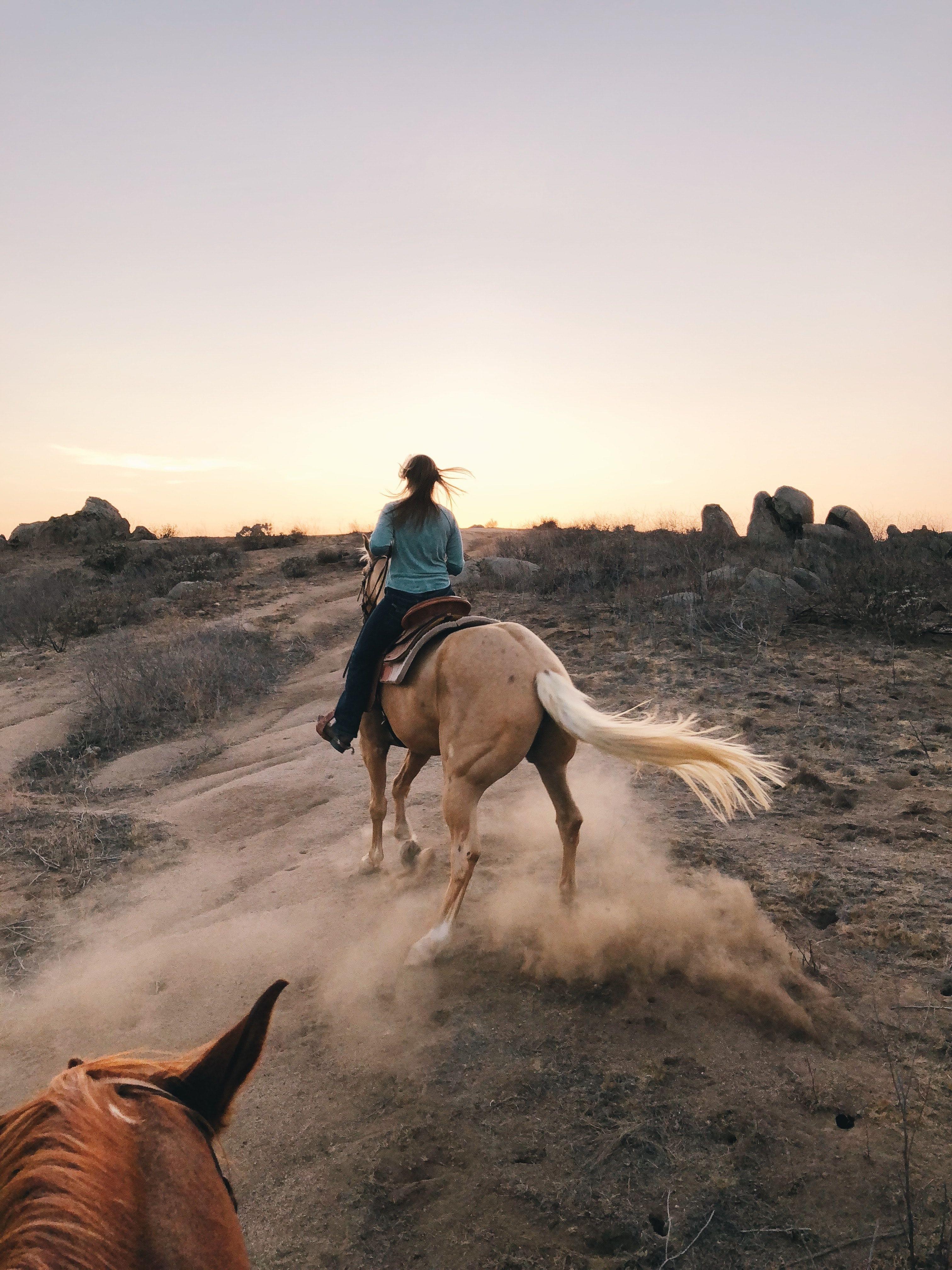 Icelandic Horseback Riding Tour