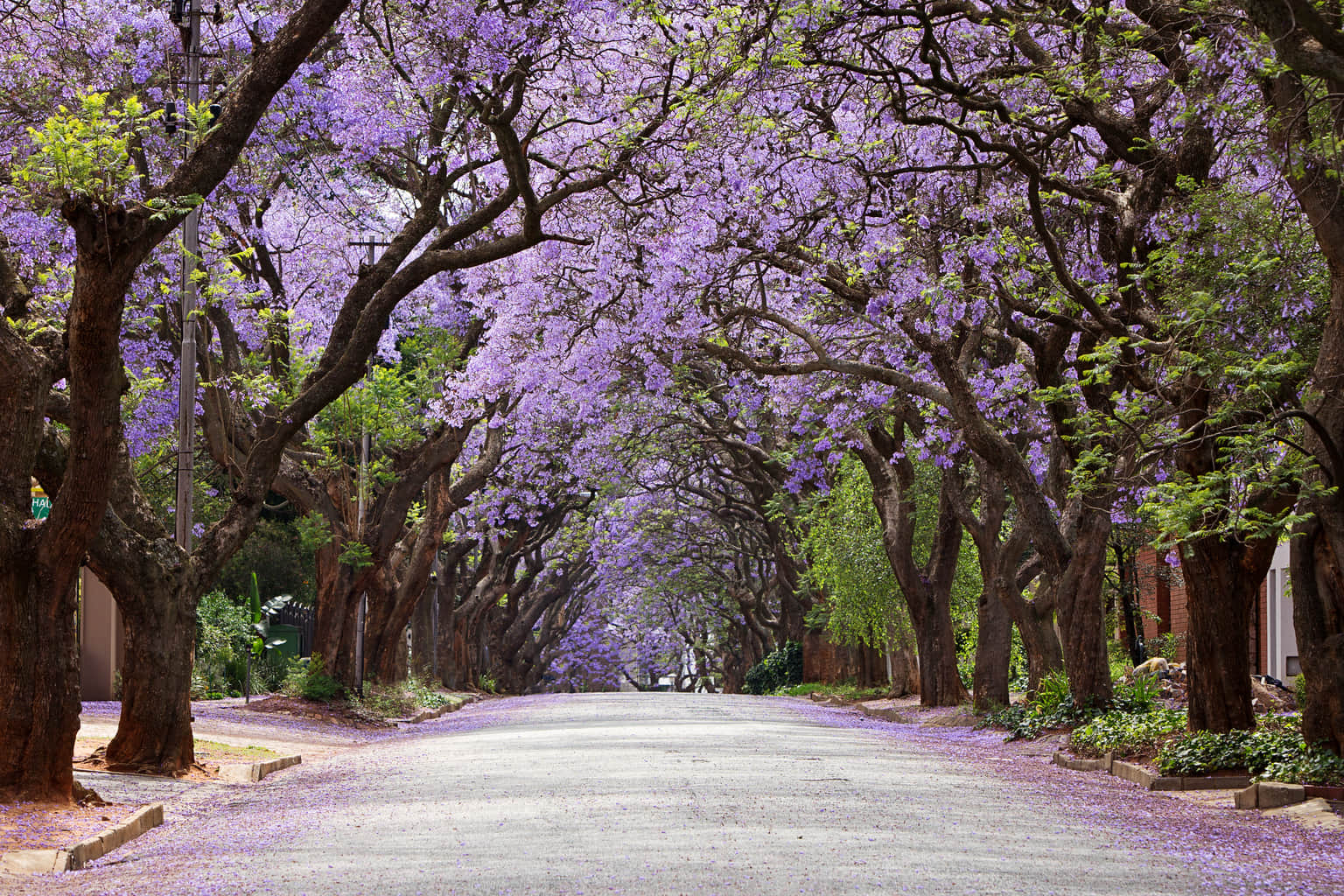 <em>South Africa</em> Tour Packages From Jaipur