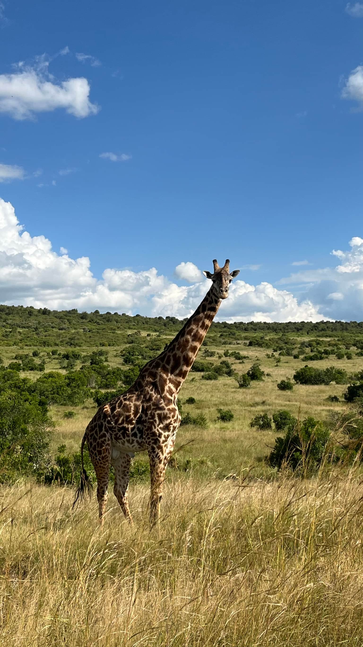Photo from Akshaya Kamath's trip