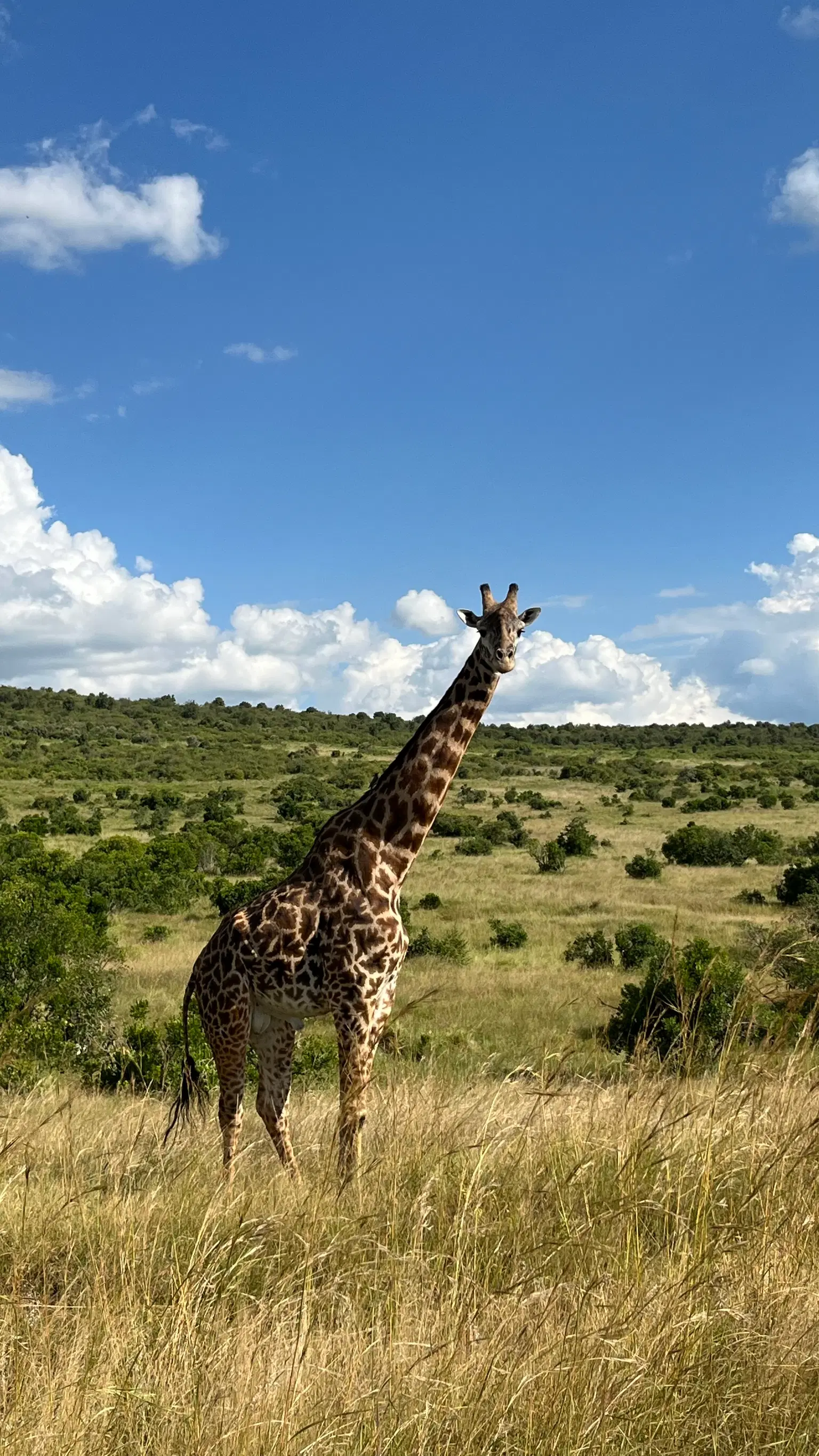 Photo from Akshaya Kamath's trip