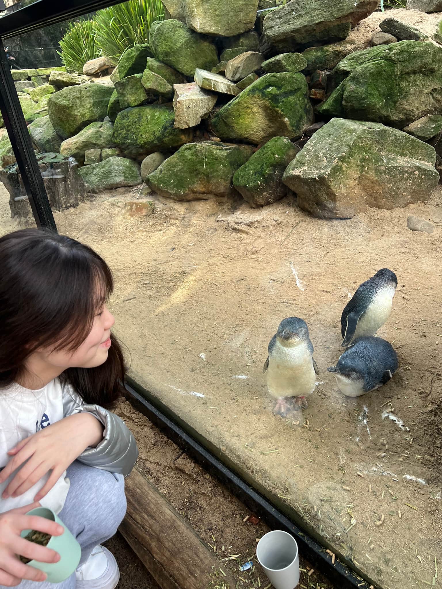 Photo from Feng Hui's trip