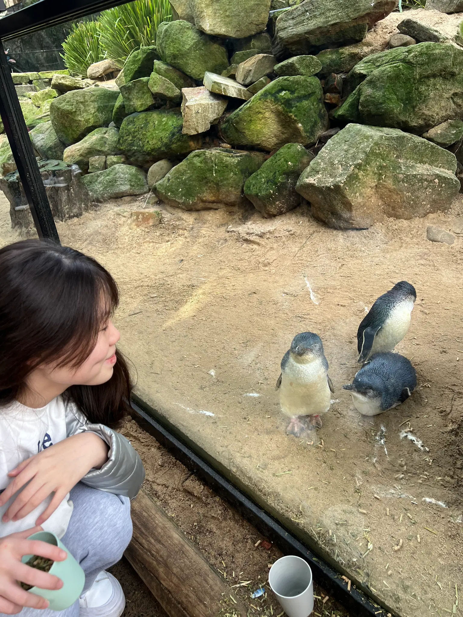 Photo from Feng Hui's trip