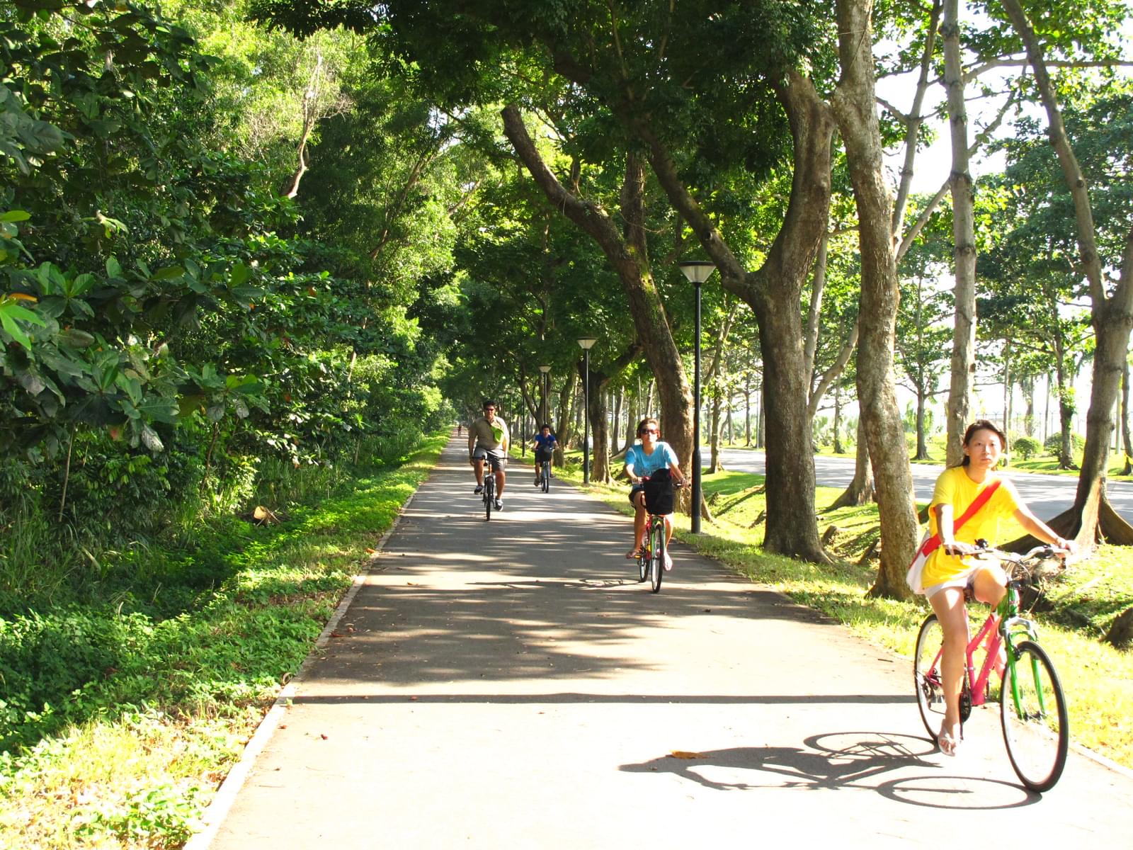 Enjoy cycling with your family in the park