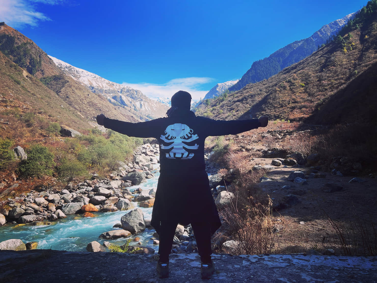 Traveller photo