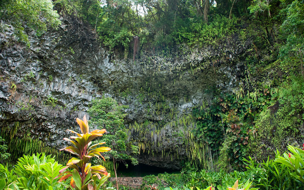 Fern Grotto, Hawaii Overview