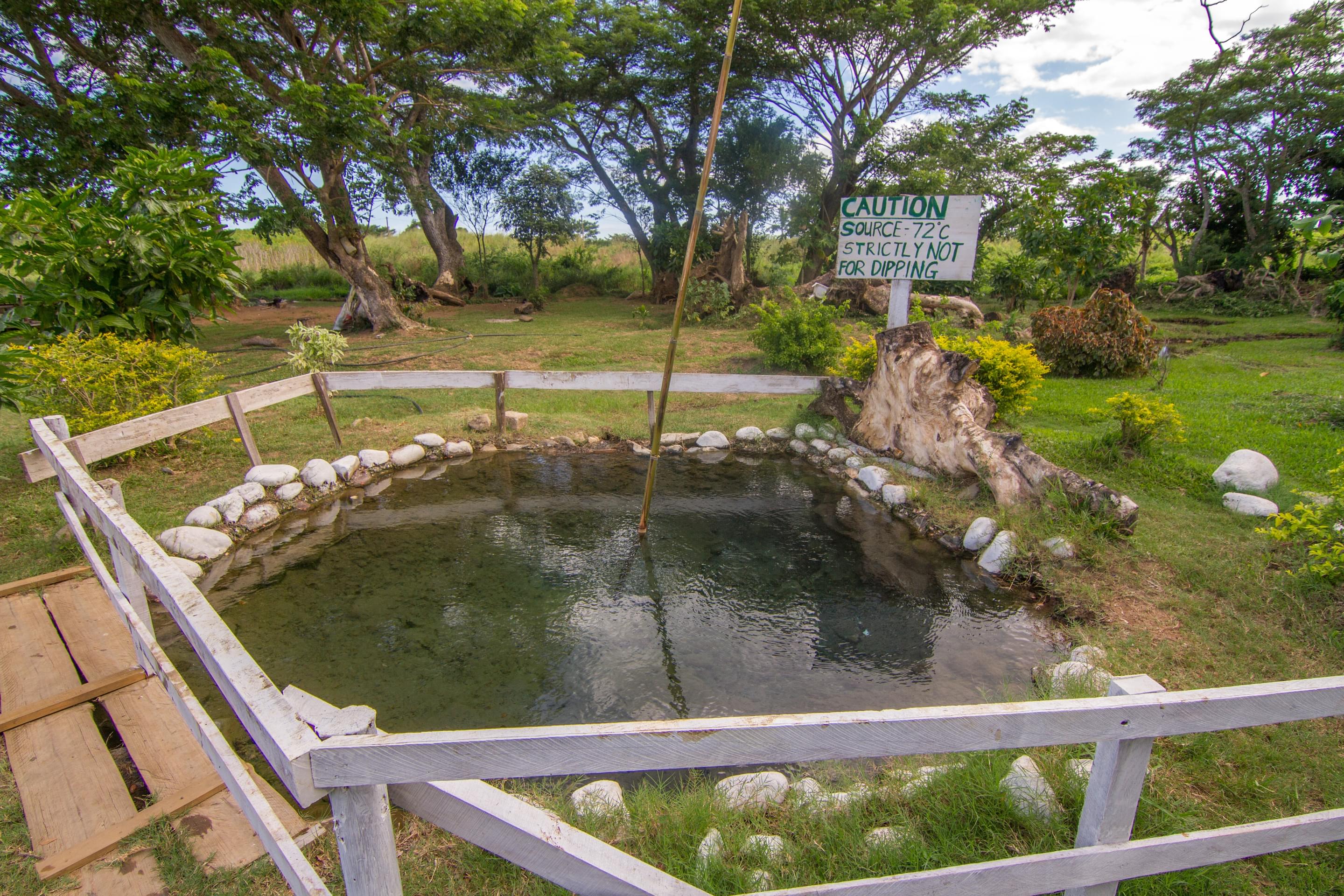 Sabeto Hot Spring Mud Pool Overview