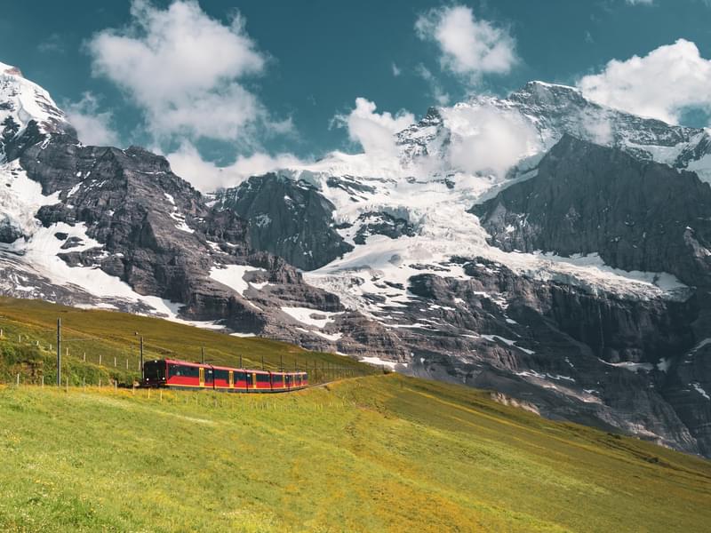 Zurich to Jungfraujoch Day Trip