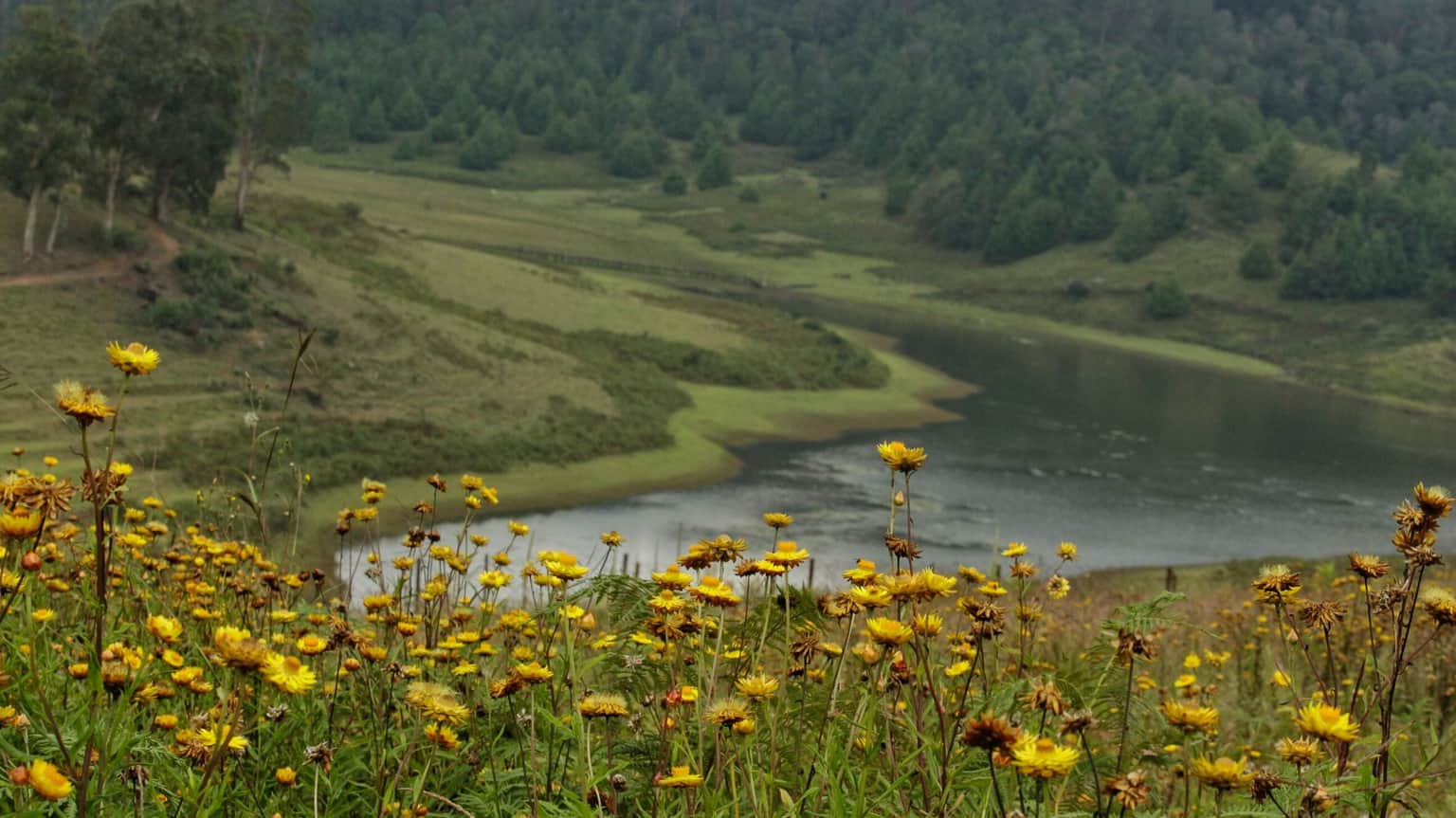 Mannavanur Lake
