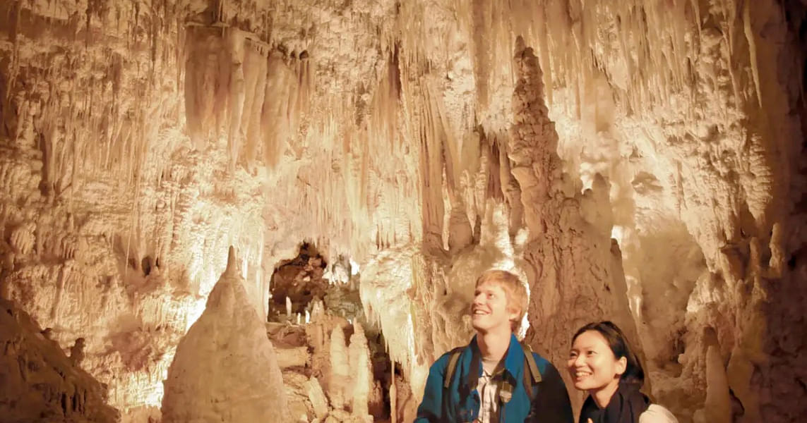 Aranui Cave Tour Image