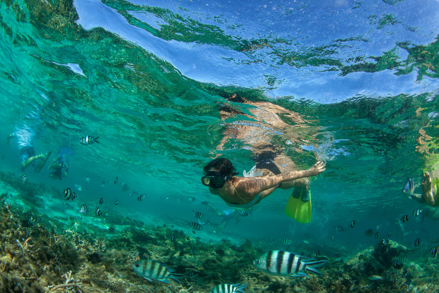 Try Your Hand at Snorkeling