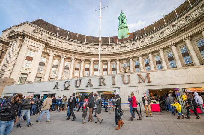 See Aquatic Life At Sea Life London Aquarium