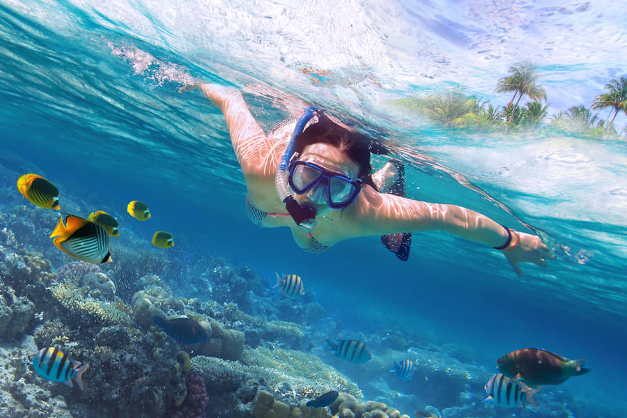 Enjoy thrilling dive underwater
