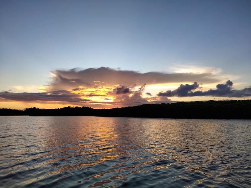 Parrot Island Day Trip from Baratang Image