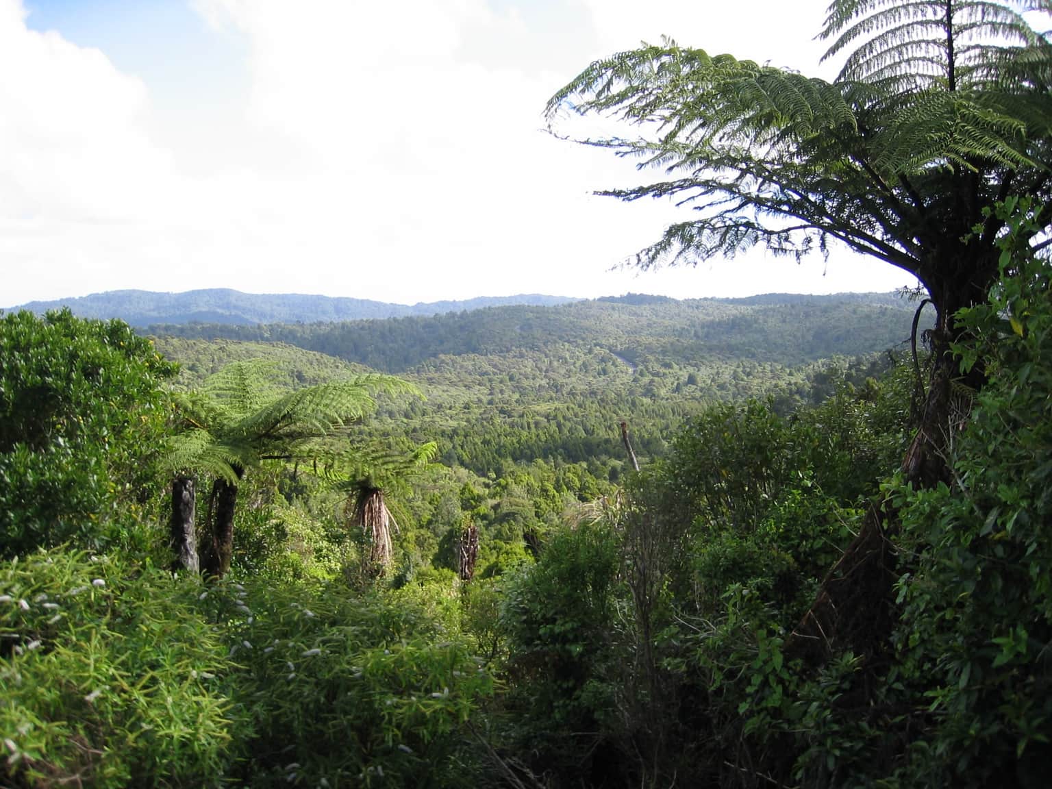 Waitakere Ranges, <em>Auckland</em>
