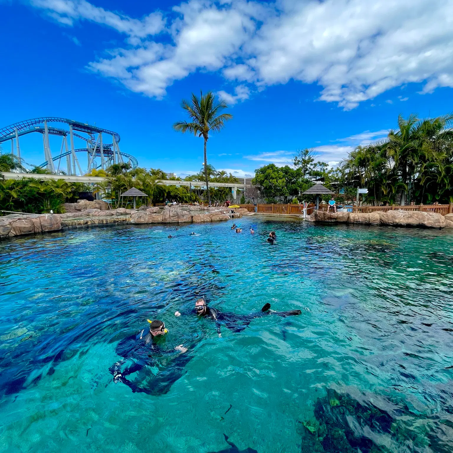 Sea World Gold Coast