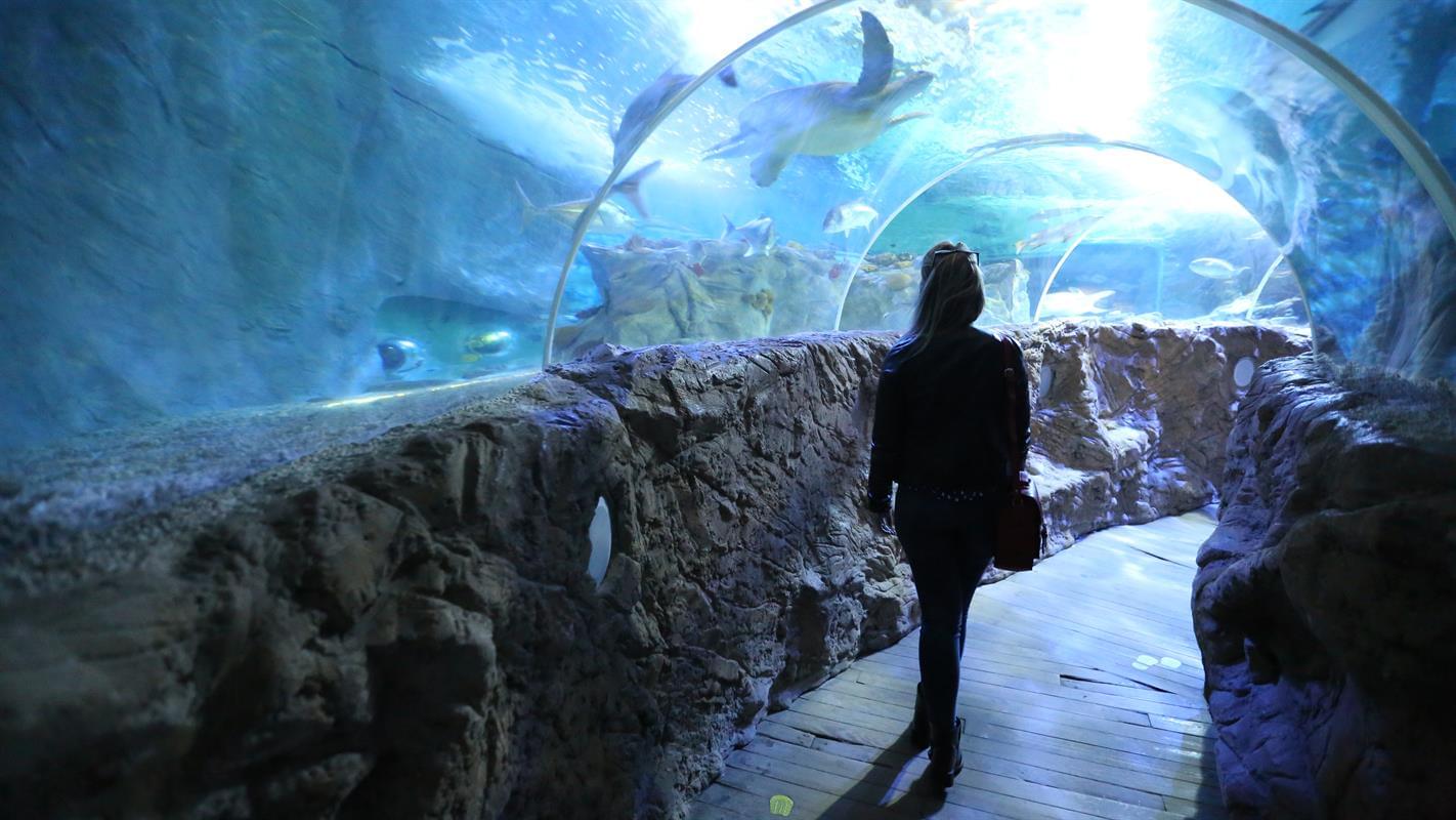 Sea Life Benalmadena