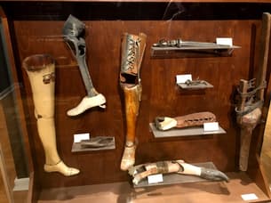 K7inxnwpc38sauhggtzog7f04fwe surgicalmuseumfakelegs2