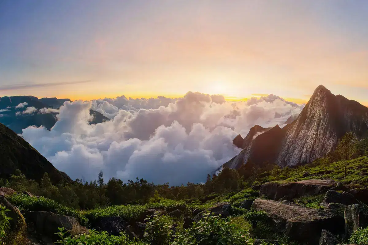 Top Station Sunrise Tour, Munnar