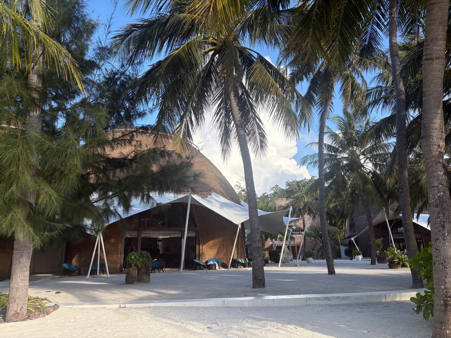 Photo from wahela manfoosh's trip