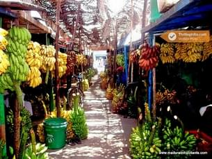 K8o38uvtb7znzct1t65ol4pvfj3a m market 1   copy