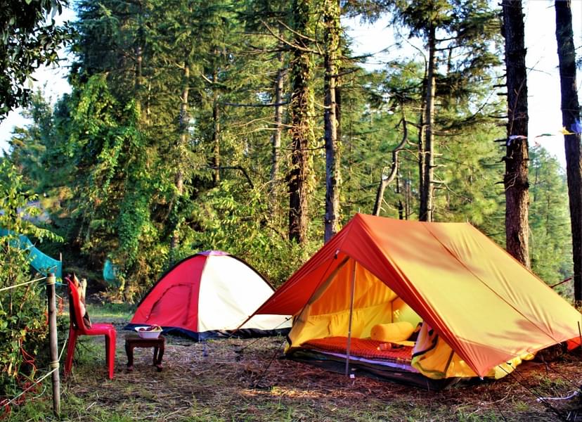 Valley View Camping In Shimla Image