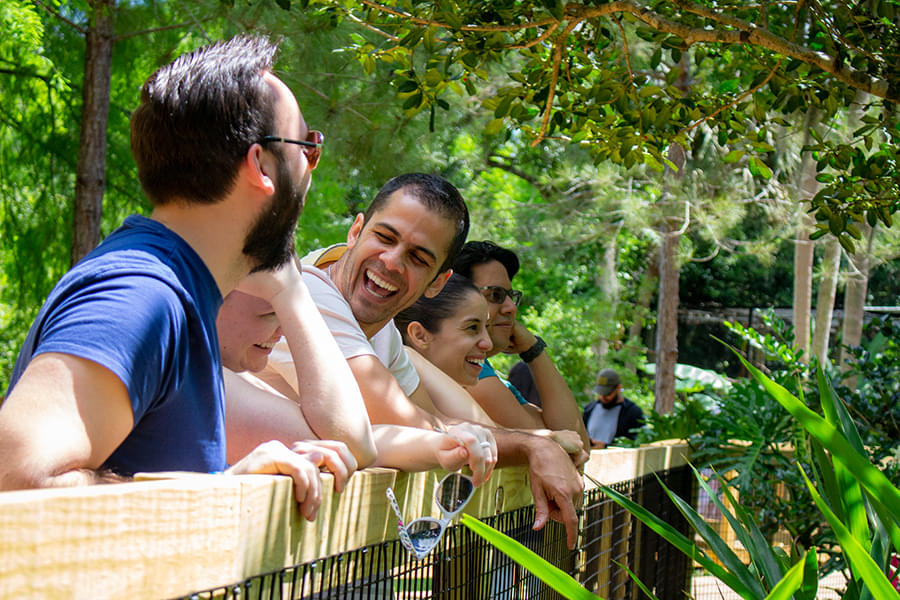 Experience a fun-filled day at the zoological park