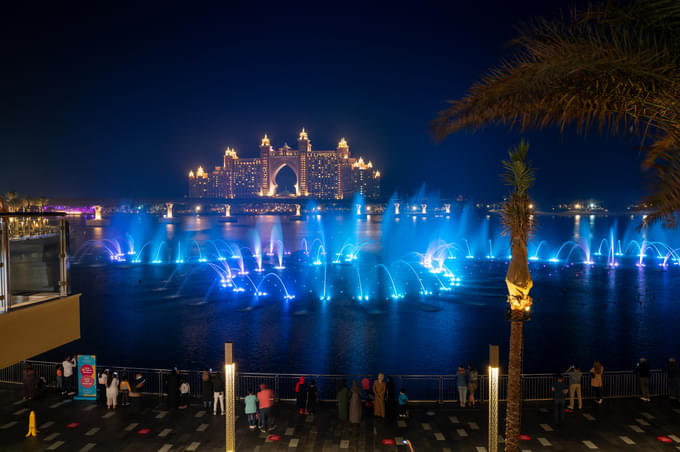  Palm fountain Show