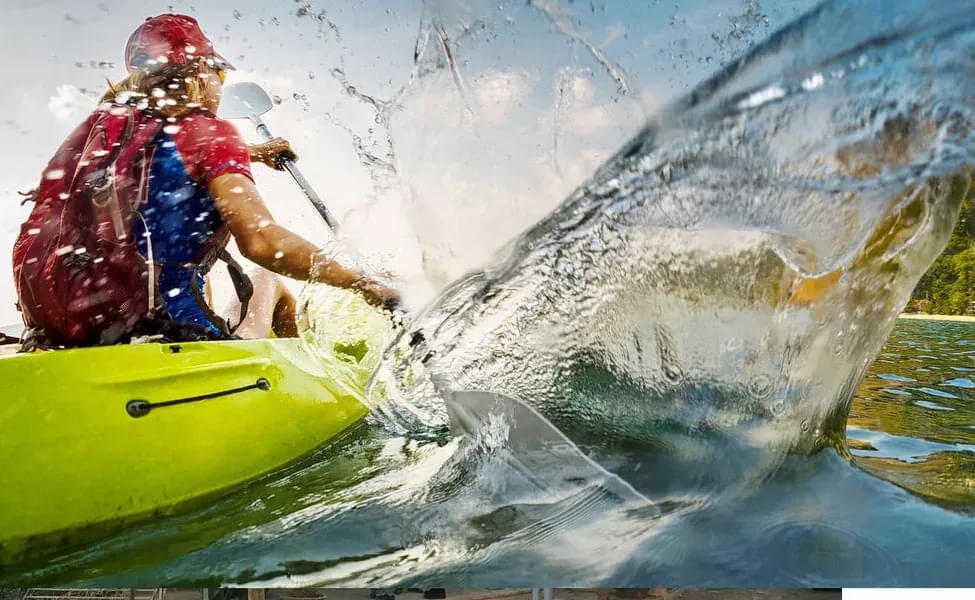 Experience the Kayaking