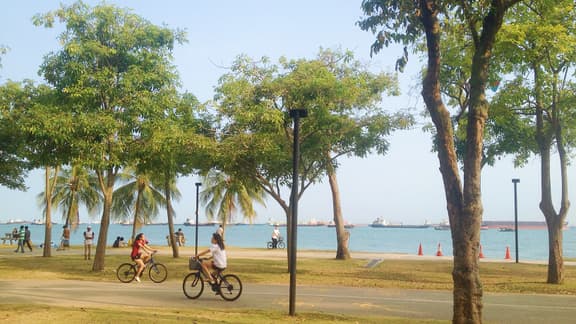East Coast Park Cycling, Singapore Book Now Flat 30% Off