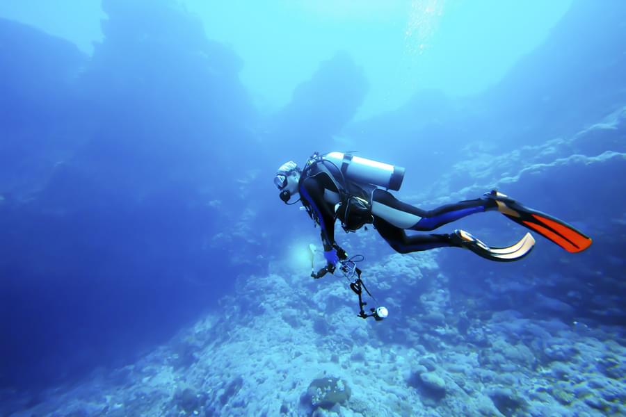 Witness The Underwater Beauty Through Scuba Diving