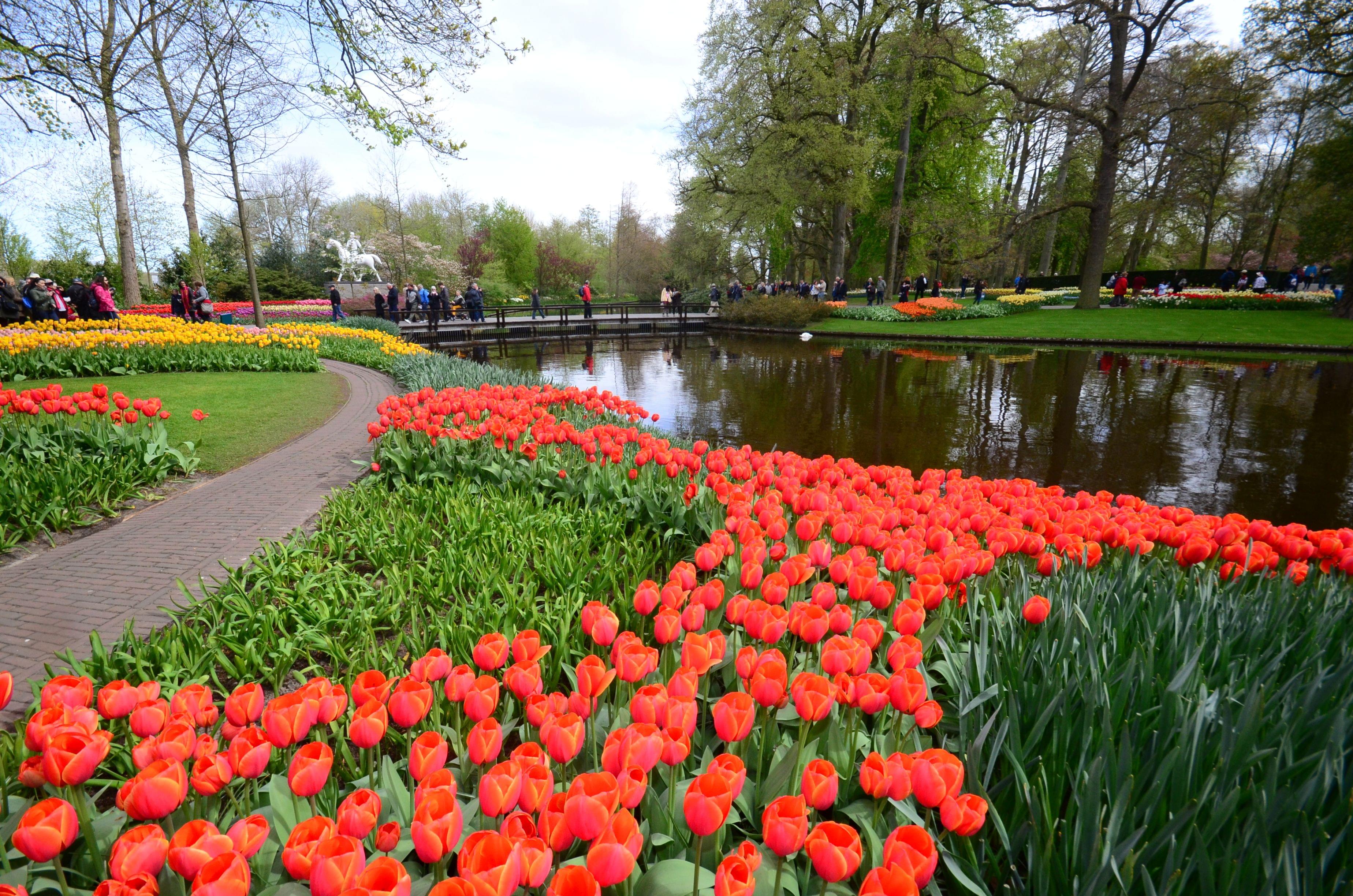Keukenhof Tulip Gardens, Amsterdam