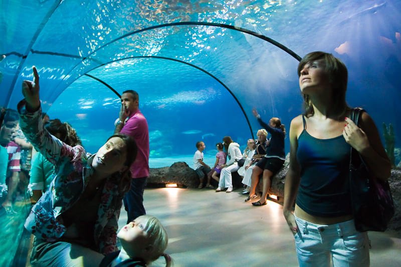 Rotterdam Zoo Overview