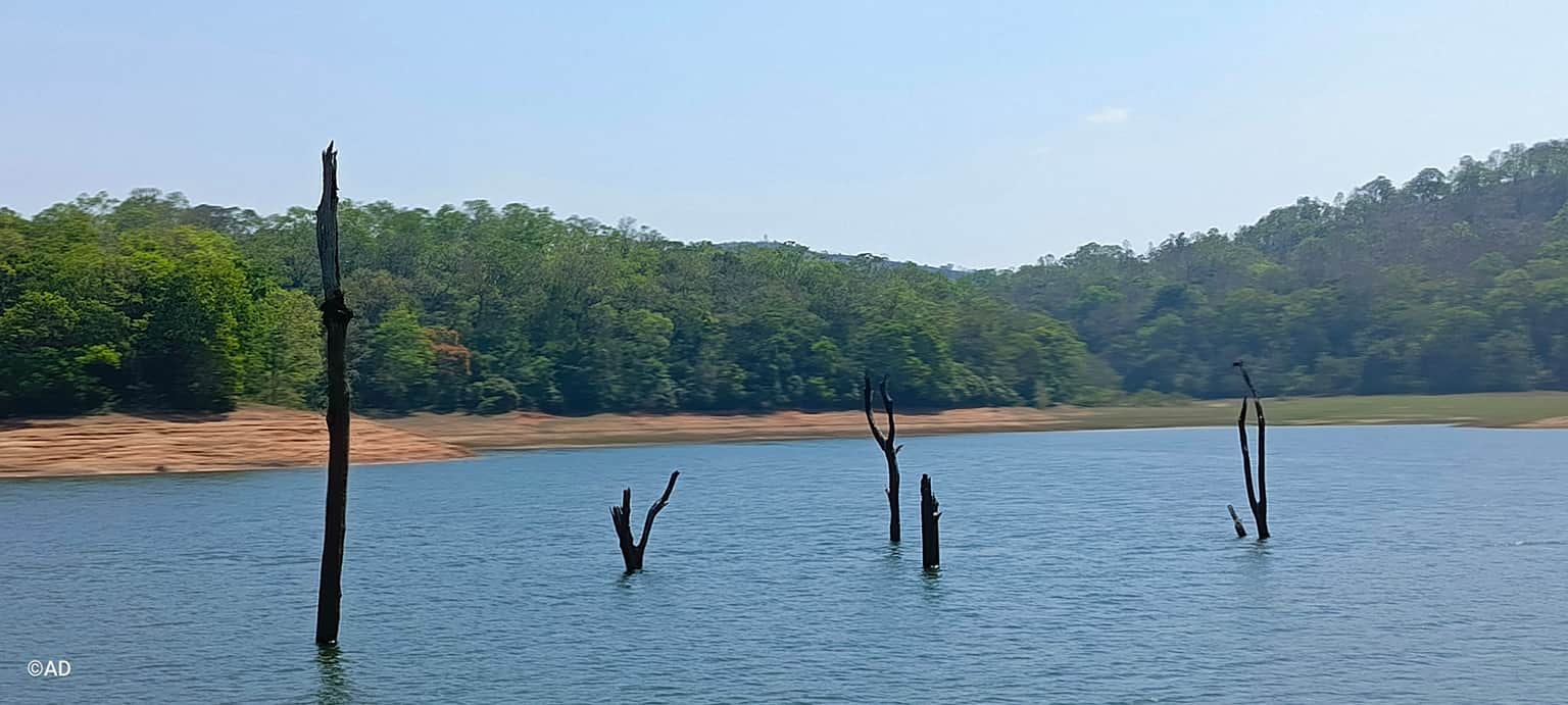 Photo from Ashish Desai's trip