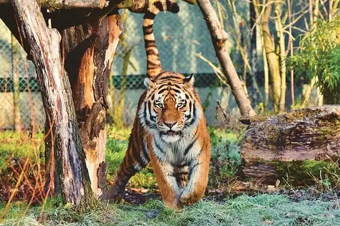 Nahargarh Biological Park Jaipur Day Out