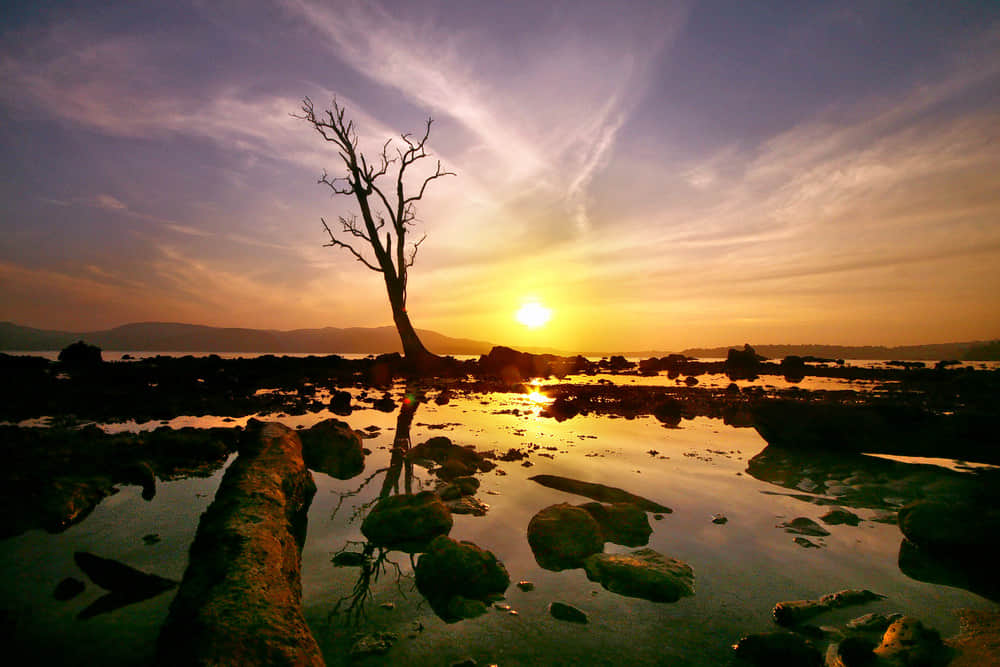 Guitar Island Beach