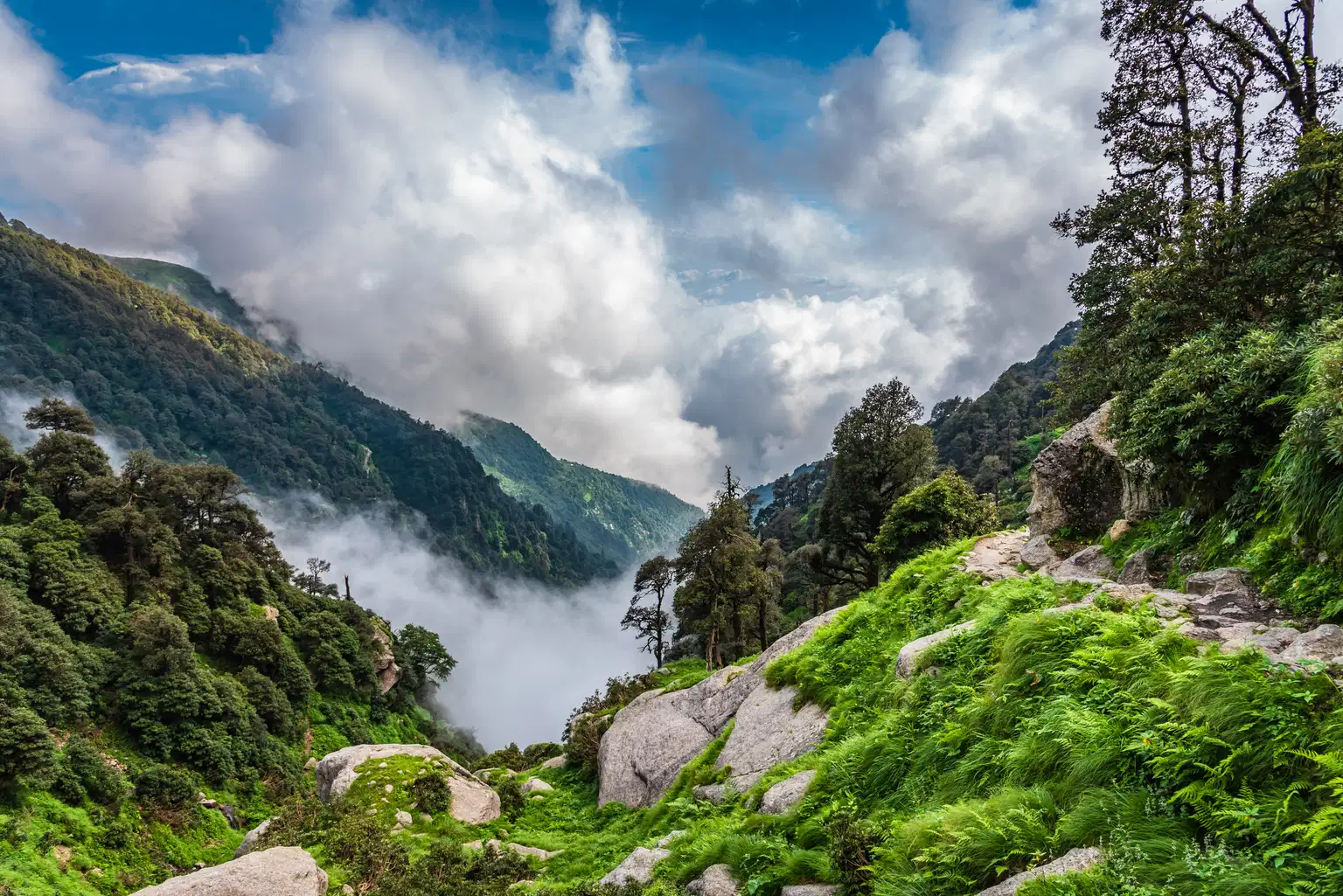 Delhi To McLeodganj Package