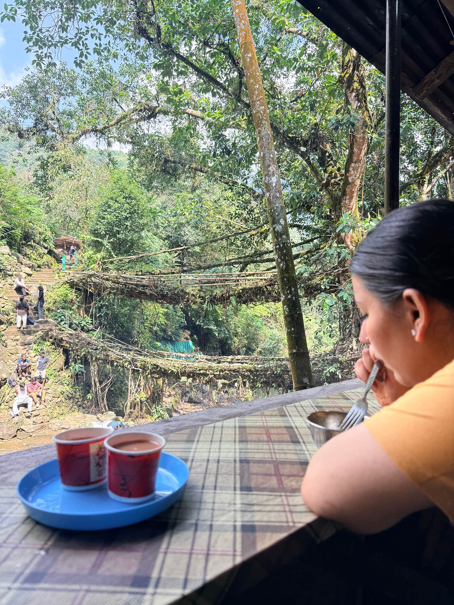 Photo from vivek singh's trip