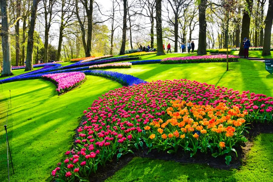 Best Time to Plan Your Visit to Keukenhof Gardens