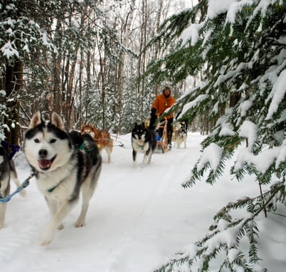 Northern Lights and Sightseeing in Sweden