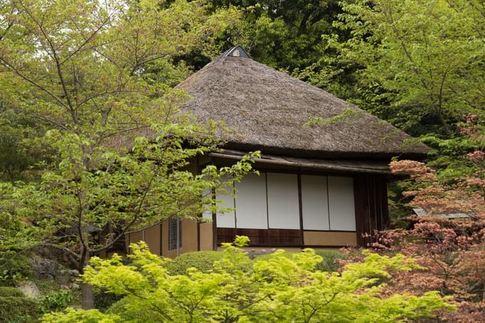 Things to do in Kyoto