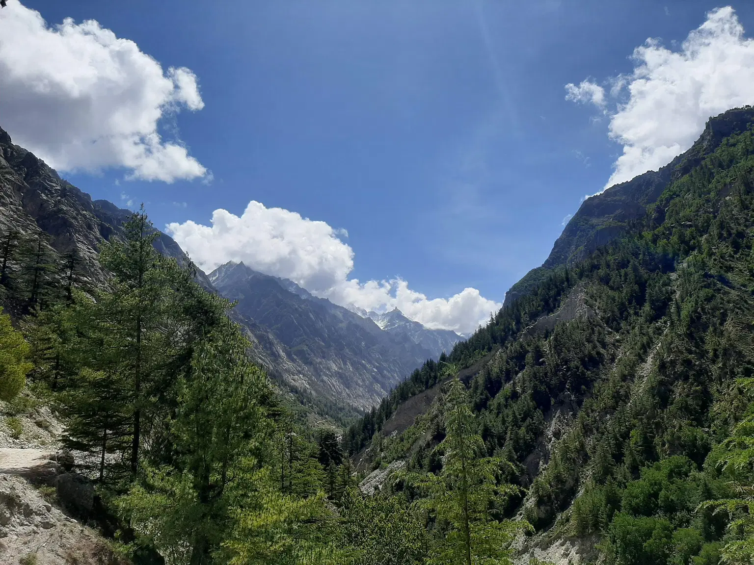 Photo from SHRUTI  KULKARNI's trip