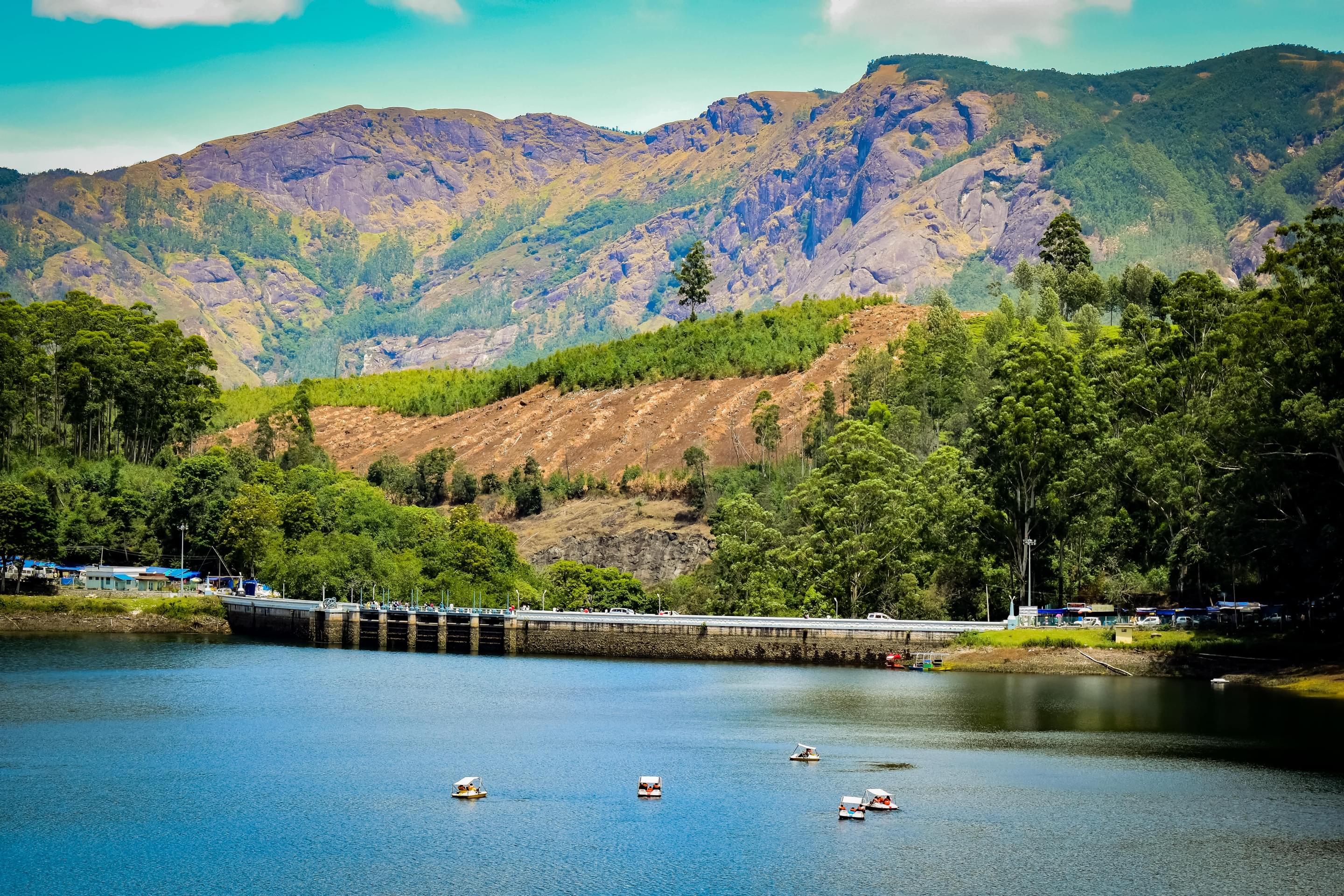 Mattupetty Dam Overview