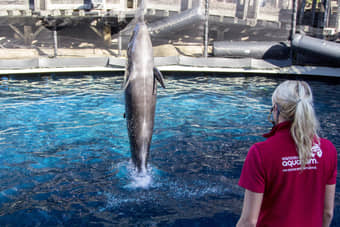 Attend the educational animal shows